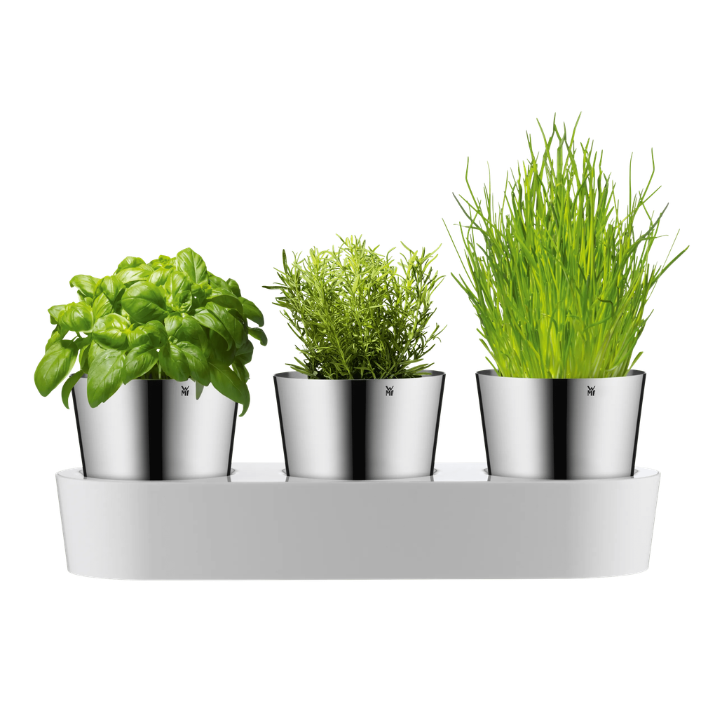 Set de 3 ghivece pentru ierburi aromatice WMF Gourmet