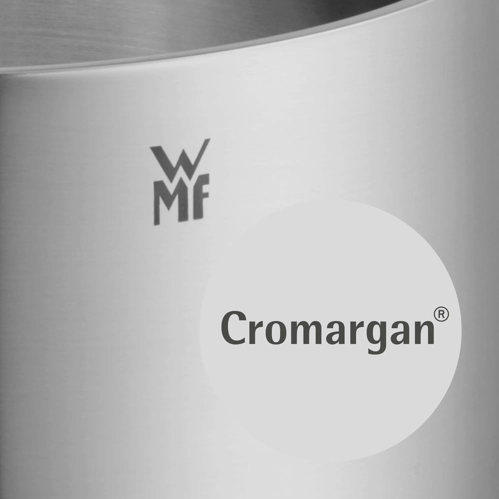 Set de 5 oale cu capac si 1 tigaie WMF Brilliant, inductie, Cromargan®