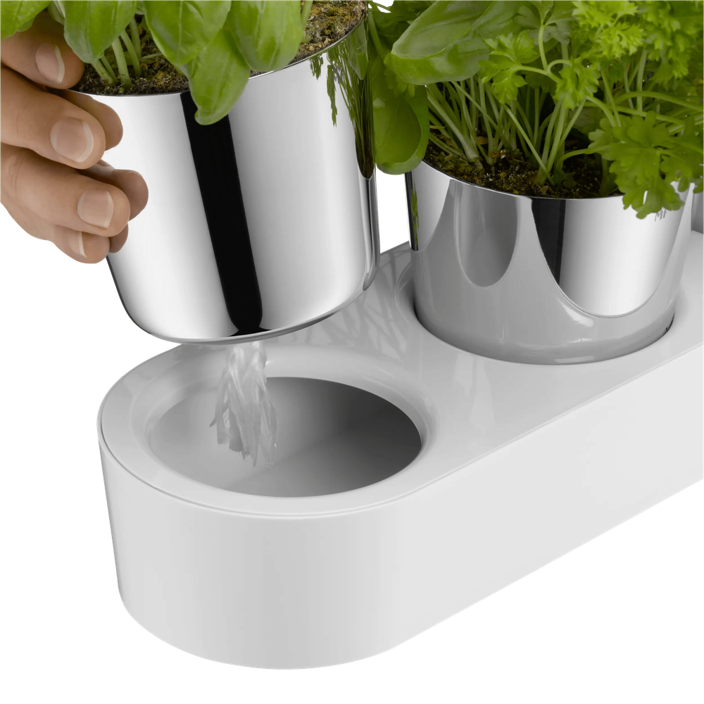 Set de 3 ghivece pentru ierburi aromatice WMF Gourmet