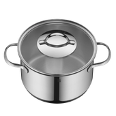 Set de 5 piese WMF Aparto, capac de sticla, margini turnare, argintiu