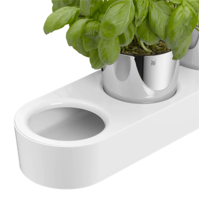 Set de 3 ghivece pentru ierburi aromatice WMF Gourmet