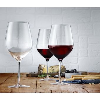 Set 6 pahare cu picior pentru vin WMF EasyPlus Burgundy, cristal