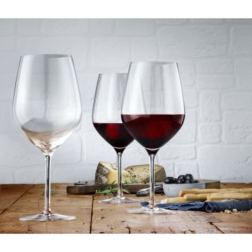 Set 6 pahare cu picior pentru vin WMF EasyPlus Burgundy, cristal